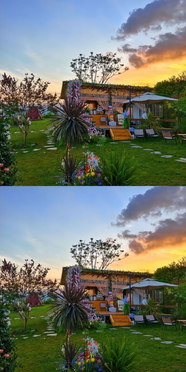 兩天遊雲南,一生困於此!誰懂啊! 兩天遊雲南,一生困於此!誰懂啊!