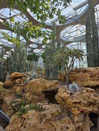 Shanghai Greenhouse Garden – всё, что нужно знать