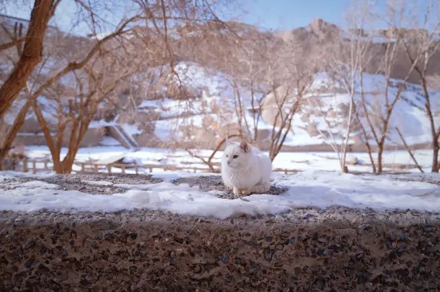 เมื่อเทียบกับถ้ำโมเกา ฉันชอบที่นี่มากกว่า