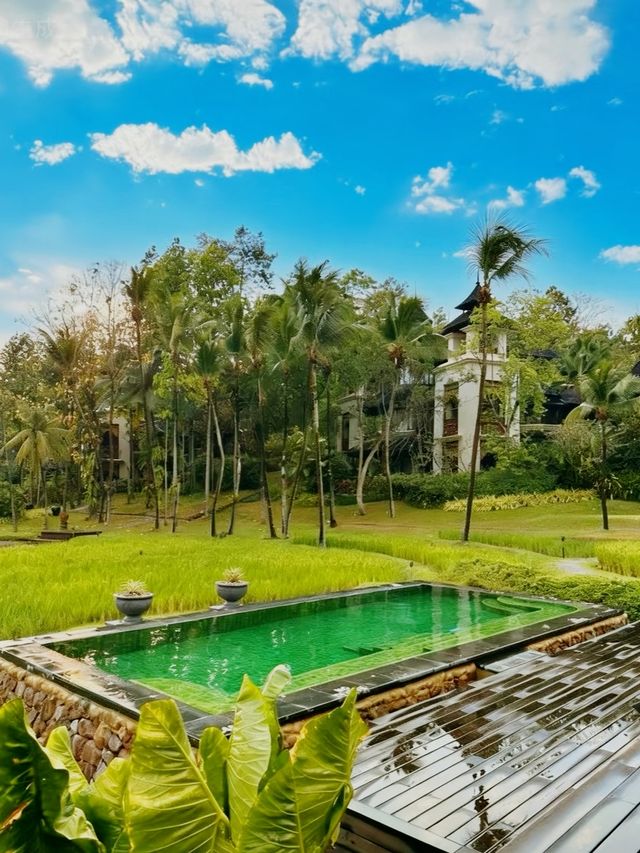 清邁住進稻田秘境泰北慢生活yyds！