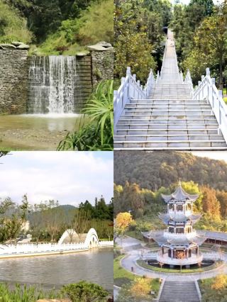 Longling Dongpo Forest Park: Step into a natural oxygen bar straight out of the Land of Oz