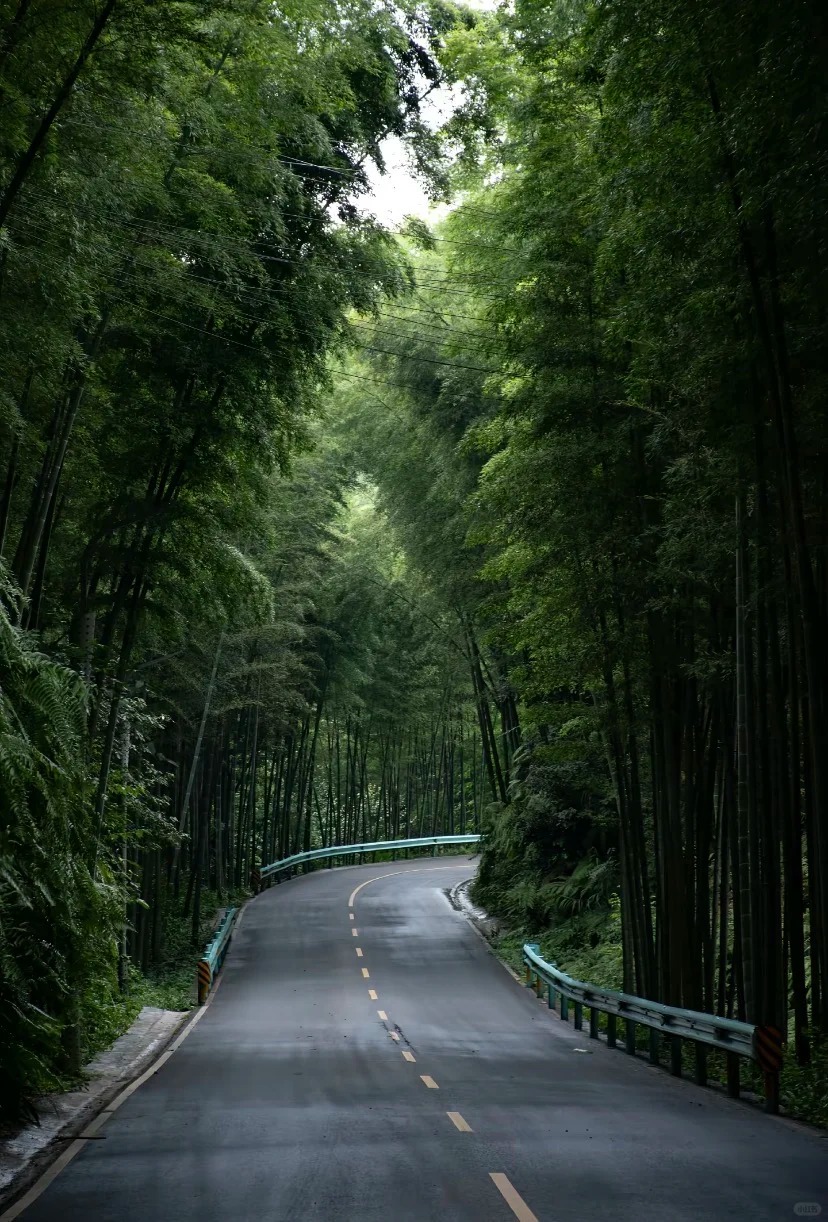Millennium Bamboo Charm, Encounter You at This Moment