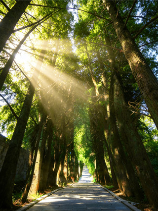 Free! 12 Spring Hiking Trails in Wuhan｜Beginner Friendly