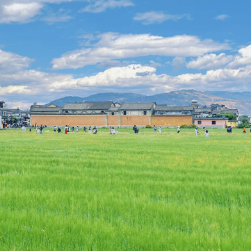 喜洲麦田咖啡(洲咖啡) 参考图 4
