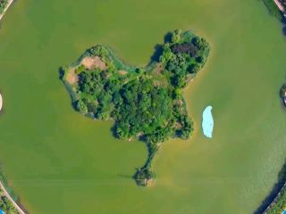 . Binzhou & Wudi: A Journey for the Soul and Taste Buds Through Nature and Culture Nourished by the Yellow River!