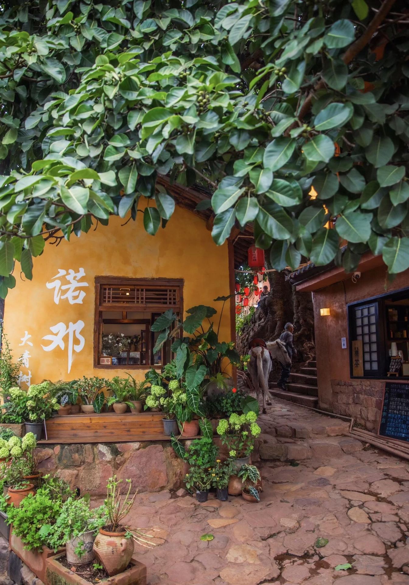 Nuodeng Ancient Village Summer Salt Culture & Torch Festival June-August🔥