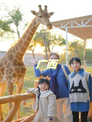 広西動物園の最高峰！人は少なく虎は多い