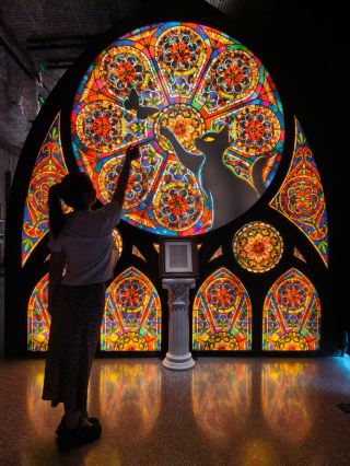 Summer vacation fun in Shanghai｜Cat science exhibition with photo ops and cat petting