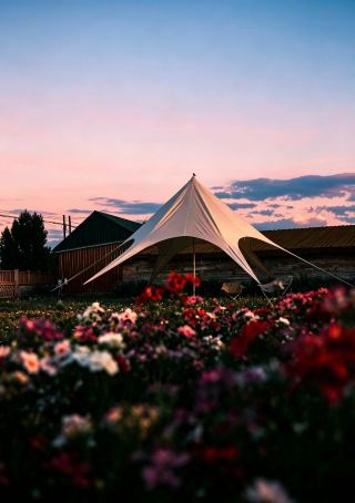 Stay in a cabin with a view of the snow-capped mountains on the grasslands of Zhaosu 