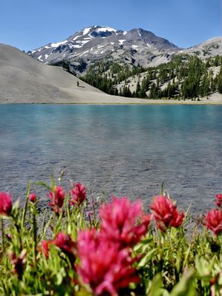 I figured out how to enjoy an 8-day trip to the US