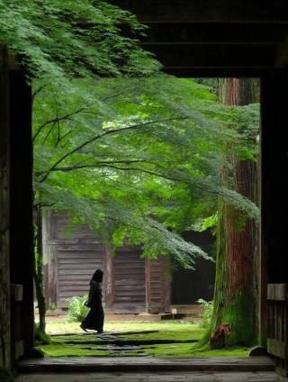 永平寺光影拍攝指南