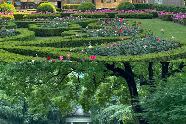 Free photo spots in Shanghai