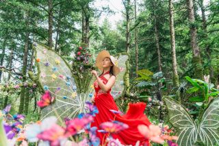 A stunning summer fairy tale forest at 16℃ inspired by Studio Ghibli in Beijing’s suburbs  finally found the true "Ghibli summer" near Beijing!! Trapped by the city heat