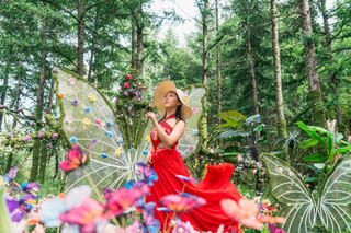 A stunning summer fairy tale forest at 16℃ inspired by Studio Ghibli in Beijing’s suburbs  finally found the true "Ghibli summer" near Beijing!! Trapped by the city heat