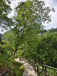 遵義必去世界遺產