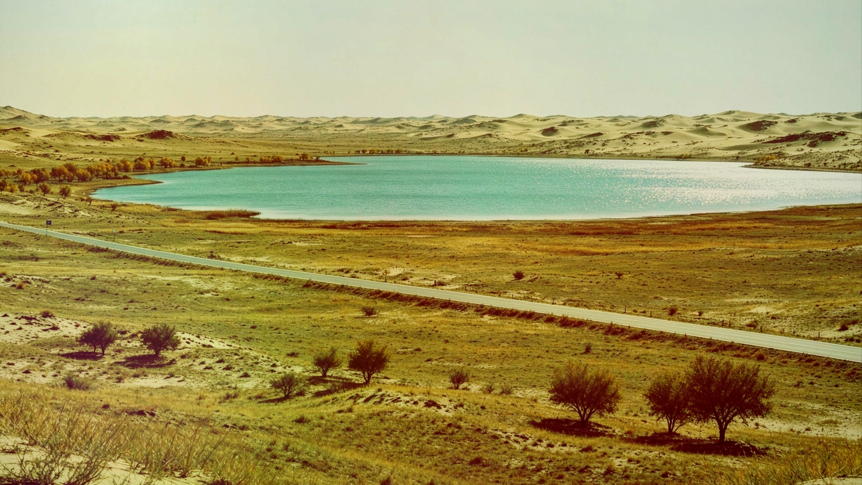 Hidden in a secret Ningxia desert! Haba Lake in golden autumn: poplars and starry skies for the ultimate escape