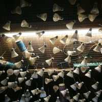 Time Tunnel Museum, Ipoh, classic vibe