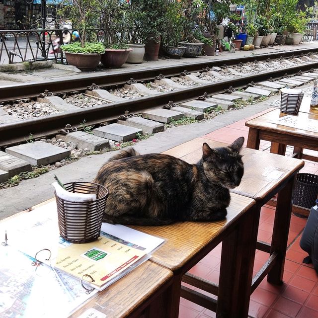 Cafes beside Railway Track