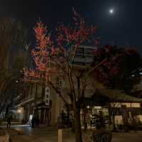 The city guardian temple - Kushida Shrine