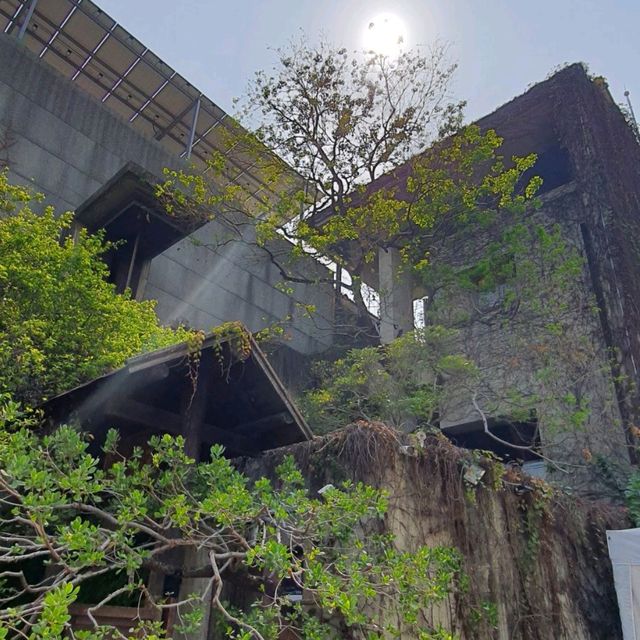 大隱隱於市，藏於民宅的藝術禪寺。