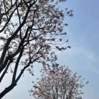 假日好去處 古色古香 深圳甘坑客家古鎮🤎🏯