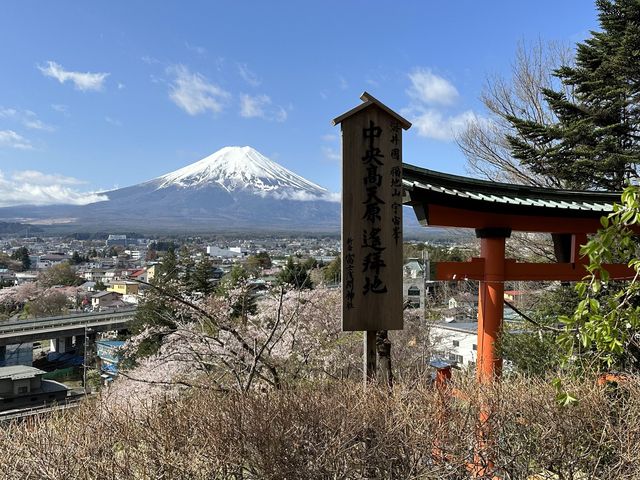 Fuji Ice cream 
