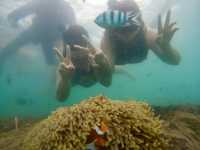 ดำน้ำดูปลานีโม่ @เกาะเสม็ด ระยอง 🐠