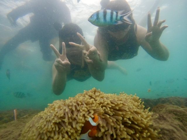 ดำน้ำดูปลานีโม่ @เกาะเสม็ด ระยอง 🐠