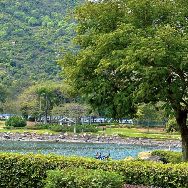 香港最舒服的公園 - 迪欣湖