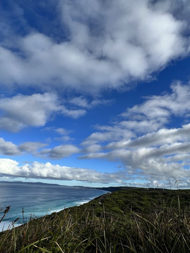 Stairs to the heavens😜😍😎Denmark, WA