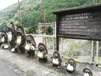 สวนป่าไผ่ &สะพานแม่น้ำสุขใจ @ARASHIYAMA