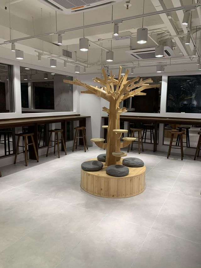 靚靚新舖 夢幻貓咪cafe續集🐱 