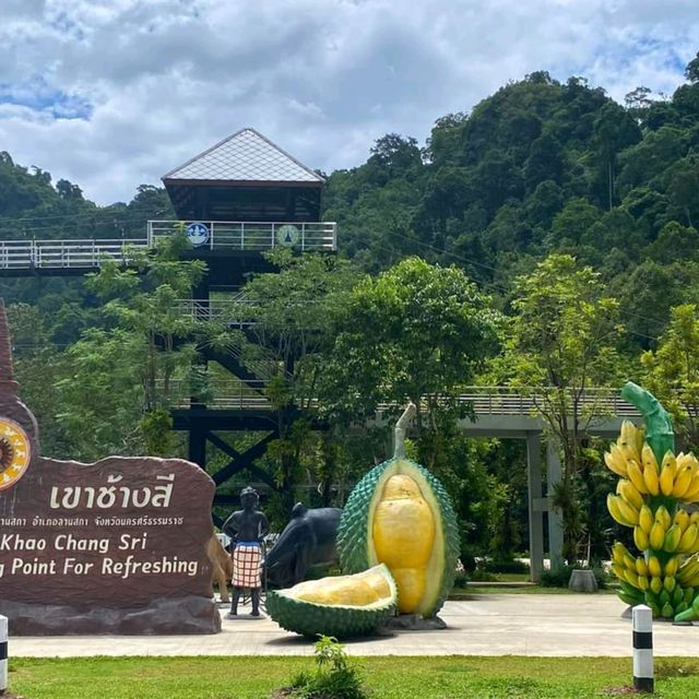 จุดชมวิวเขาช้างสี