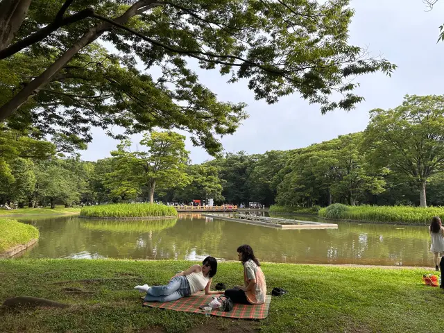 東京放電好去處