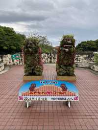 【沖縄/南城市】沖縄最大級の規模を誇るテーマパークおきなわワールド🌺