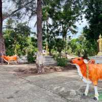 วัดทุ่งไทรทอง ชุมพร