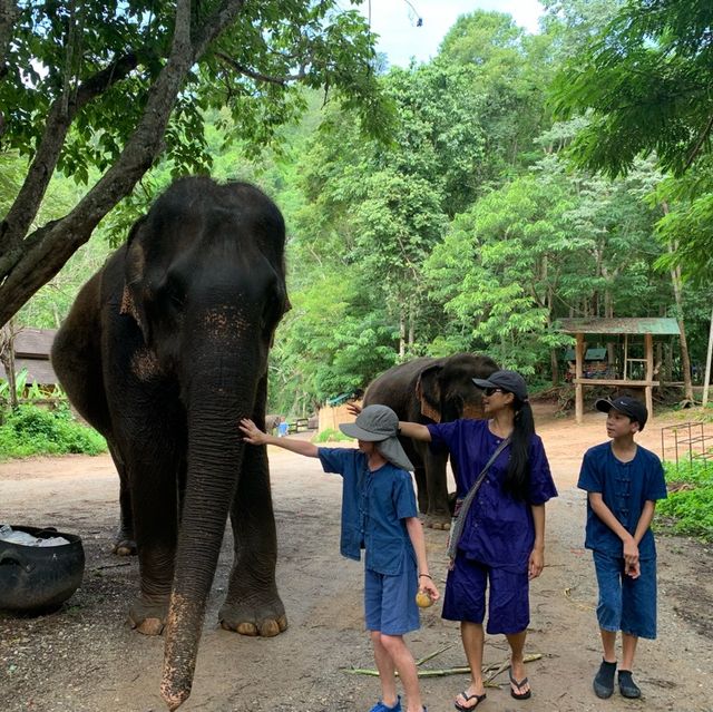 Elephant keeper for the day