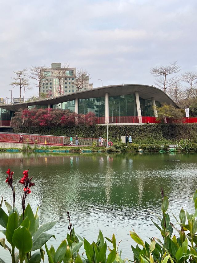 🍁 Revisiting Maple Garden in Taichung 🌱