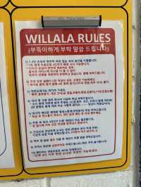 World Class Fish & Chips in Seongsan