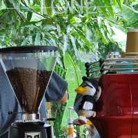 Tone Cafe' เมืองแห่งขุนเขา สายฝน ลมและหมอก