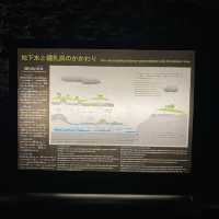 沖縄本島「玉泉洞」地底の絶景！幻想的な空間