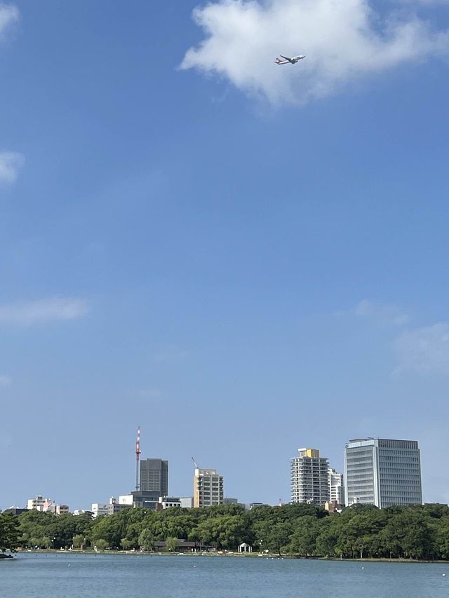 후쿠오카 대표 공원
