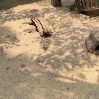 泰國曼谷野生動物園