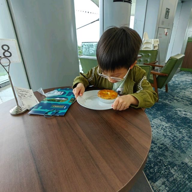 認識鯉魚門炮台香港海防博物館