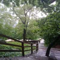 高處看韓國 N Seoul Tower