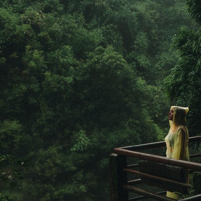 Road trip น้ำตกเหวนรก อุทยานแห่งชาติเขาใหญ่ 🍃⛈