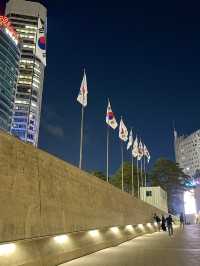 서울 가볼만한 곳, 동대문디자인플라자(DDP) 야경