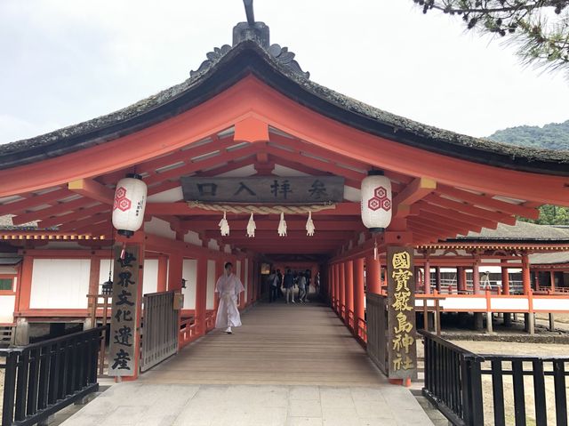 日本宮島｜必到打卡位海上大鳥居