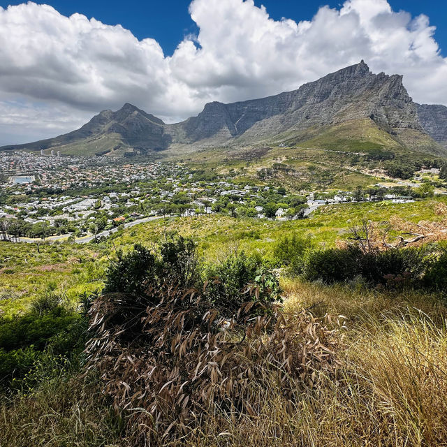 The panoramic view from the summit unveiled a