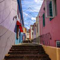 The Beauty of Damyang Meta Provence